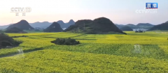 从“种庄稼”到“种风光” 农文旅融合让村平易